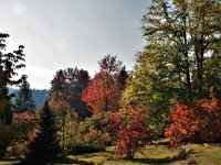 centrální část arboreta v podzimním hávu